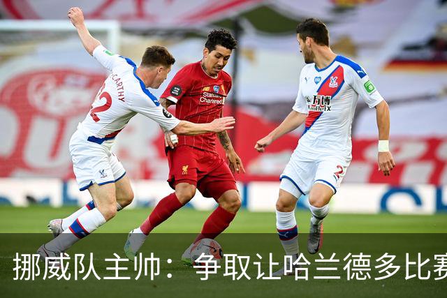 挪威队主帅：争取让哈兰德多比赛 他是世界上最好的前锋之一