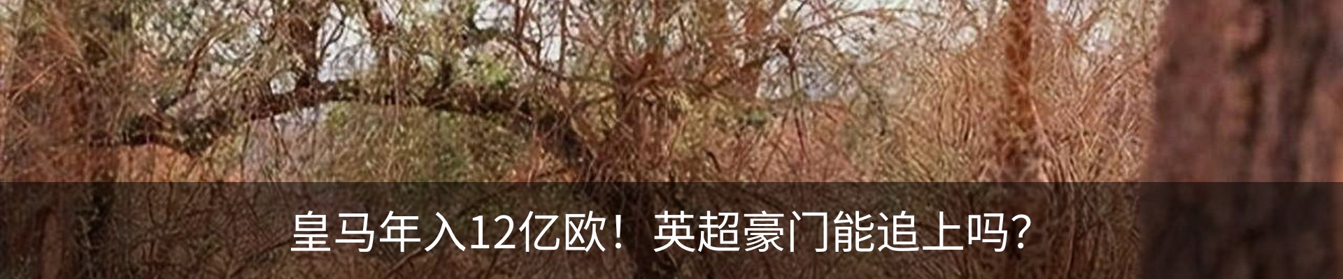 行业资讯
