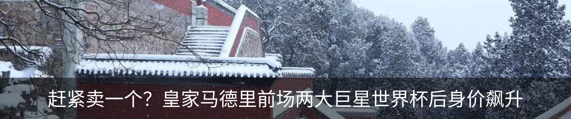 行业资讯